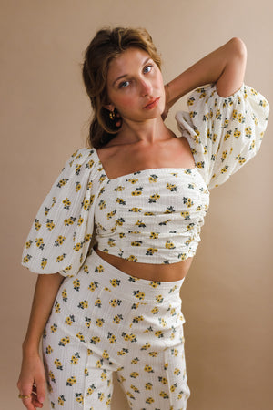 Morro Top - Winston White